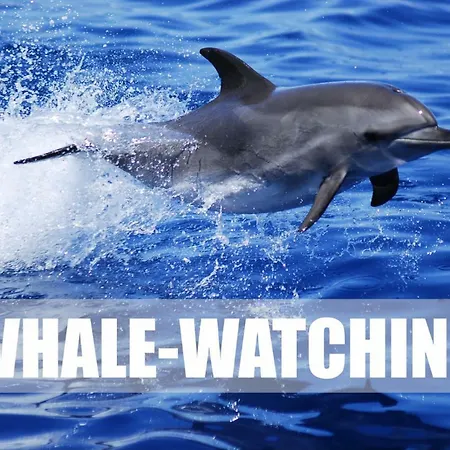 Lägenhet Ocean House & Perfect For Costa Adeje (Tenerife)