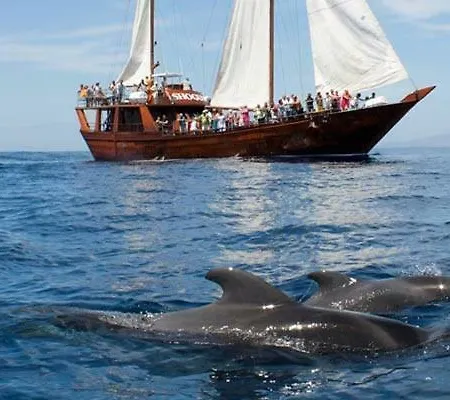 Апартаменты Ocean House & Perfect For *