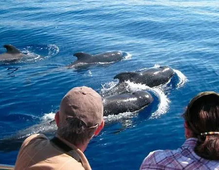 Ocean House & Perfect For *