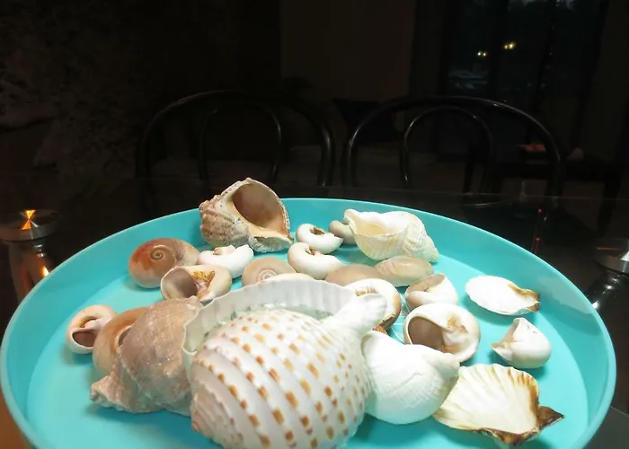 Ocean House & Perfect For Apartman Costa Adeje (Tenerife)