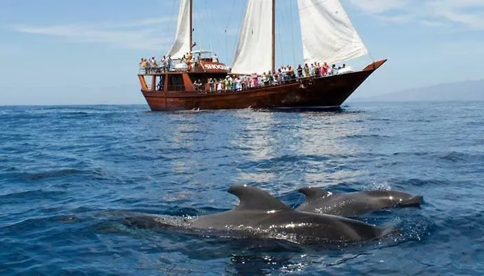 Apartman Ocean House & Perfect For *